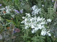 Alhambra in Granada-Generalife