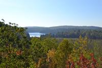 Blick vom Dorset Scenic Lookout Tower