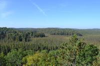 Blick vom Algonquin Park Visitor Centre
