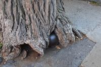 Québec - in der Altstadt