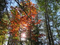 Indian Summer am Lac Taureau