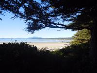 Strand auf Vancouver Island