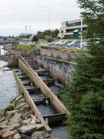 Lachsaufzuchtstation