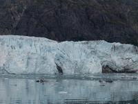 Glacier Bay, Alaska