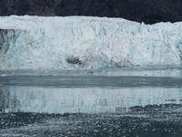 Glacier Bay, Alaska