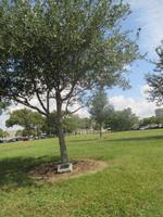 Space Center Houston