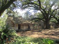 Oak Alley Plantage