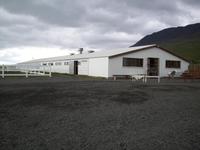 Ställe des Pferdehofes