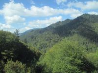 Great Smoky Mountains
