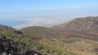 Vesuv-Ausblick