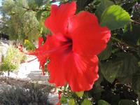 Johanniter Burg Kolossi