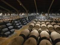 Jerez de la Fronterra Bodega Real Tesoro