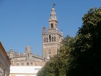Sevilla Giralda Kathedrale