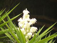 Sestri Levante Herbst 14