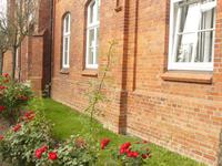 Ribnitz-Dammgarten 3