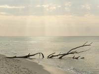 Darsser Weststrand 3