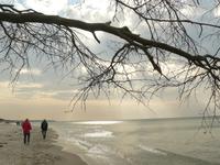 Darsser Weststrand 5