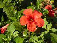 Villa Cimbrone im Oktober 16