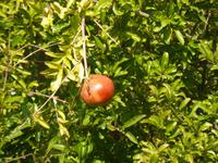 Ravello im Oktober 21