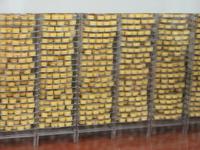 Die Produktionsstätten der Käserei