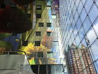 Markthalle in Rotterdam