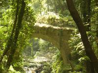 Valle delle Ferriere 6