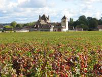 teuerste Weinlage im Burgund