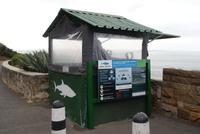 Haibeobachtungen nahe Muizenberg