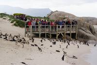 Wer schaut hier wen an?