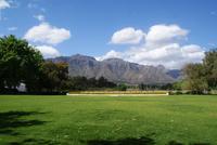 Ein wunderschöner Tag auf dem Weingut