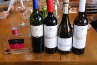 unsere Weine zur Weinprobe