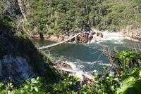 Hängebrücken im Tsitsikama Nationalpark