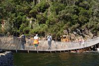 Wanderung im Tsitsikama Nationalpark