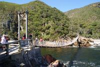 Hängebrücken im Tsitsikama Nationalpark