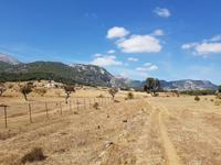 Single-Wanderreise Spanien – sonniges Andalusien (40)