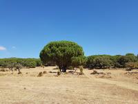 Single-Wanderreise Spanien – sonniges Andalusien (48)