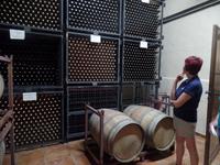 Single-Wanderreise Spanien – sonniges Andalusien (199)