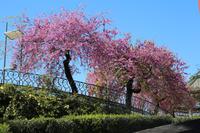 Catania, Stadtpark
