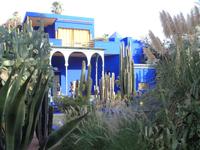 Im Jardin Majorelle