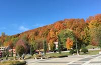 Indian Summer 