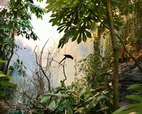 Biodome von Montreal 