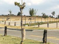 Cradle Moon Lakeside Lodge