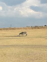 Cradle Moon Lakeside Lodge