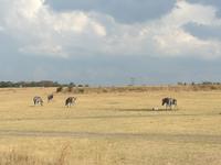 Cradle Moon Lakeside Lodge
