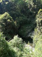 Drakensberge - Rainbow Gorge Trail