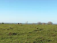 Kariega Wildreservat