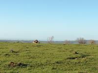 Kariega Wildreservat