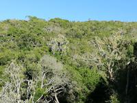 Kariega Wildreservat