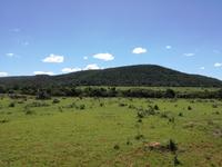 Kariega Wildreservat