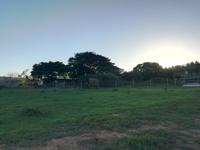 Kariega Wildreservat